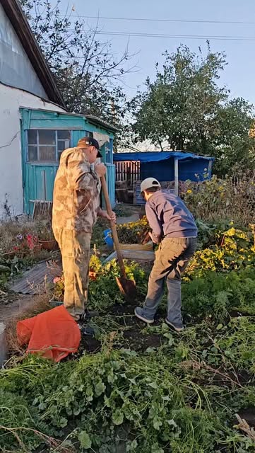 Работа на огороде